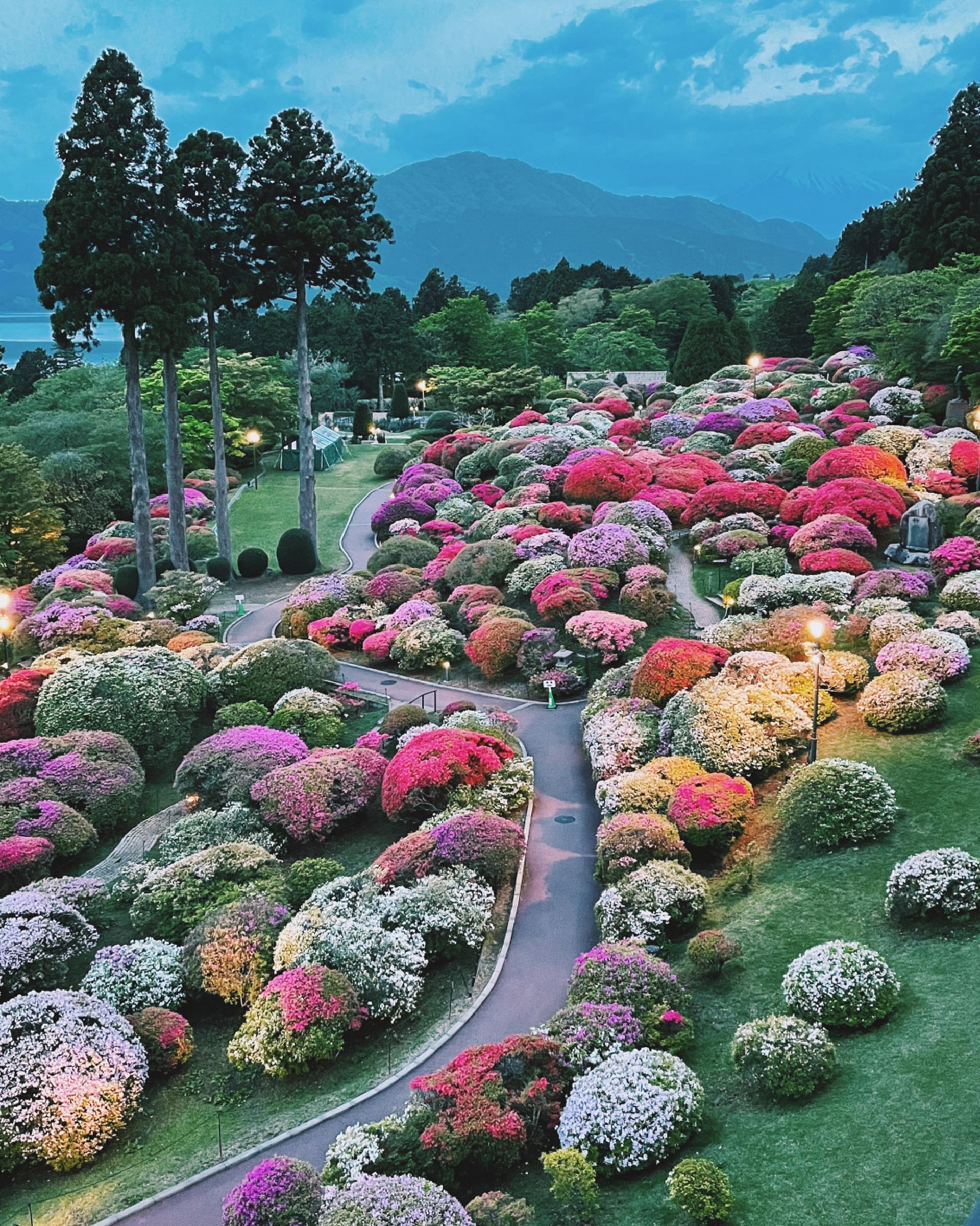 Kith Summer 2022 - Japanese Azalea Gardens from Ronnie Fieg's Journal