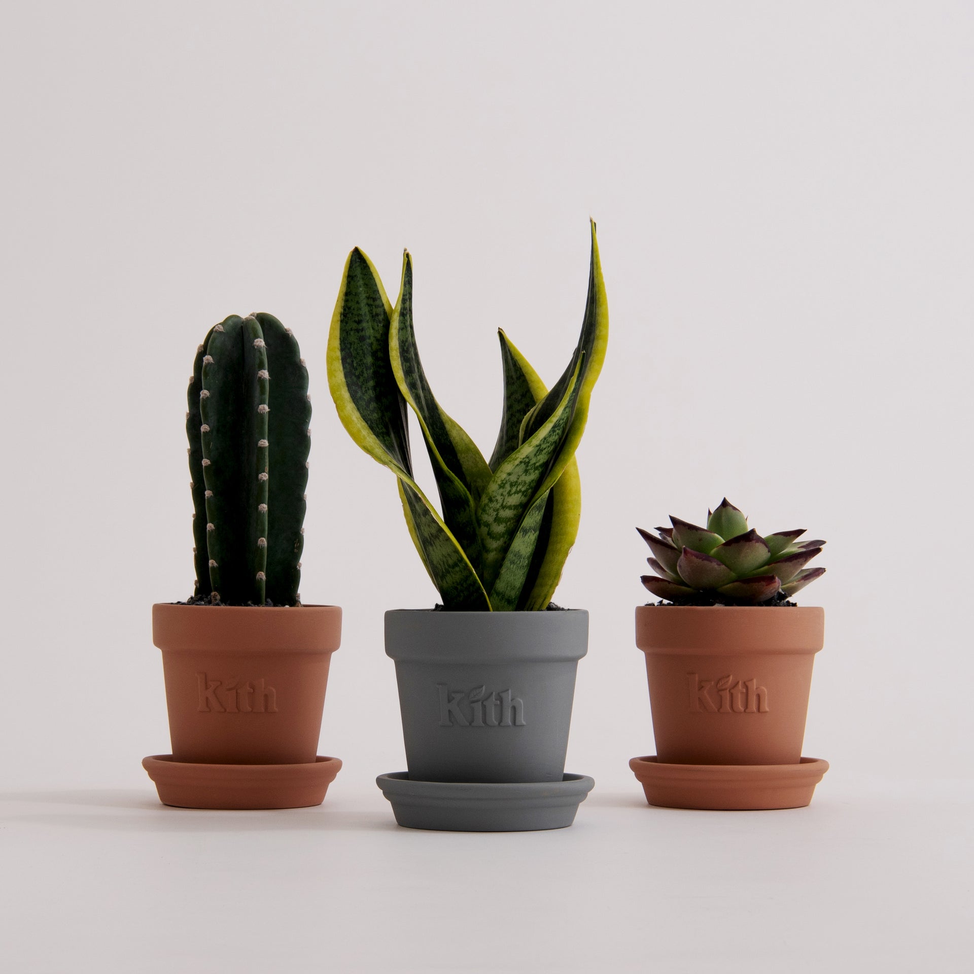Kith Earth Day Planter 2023 Monday Program™