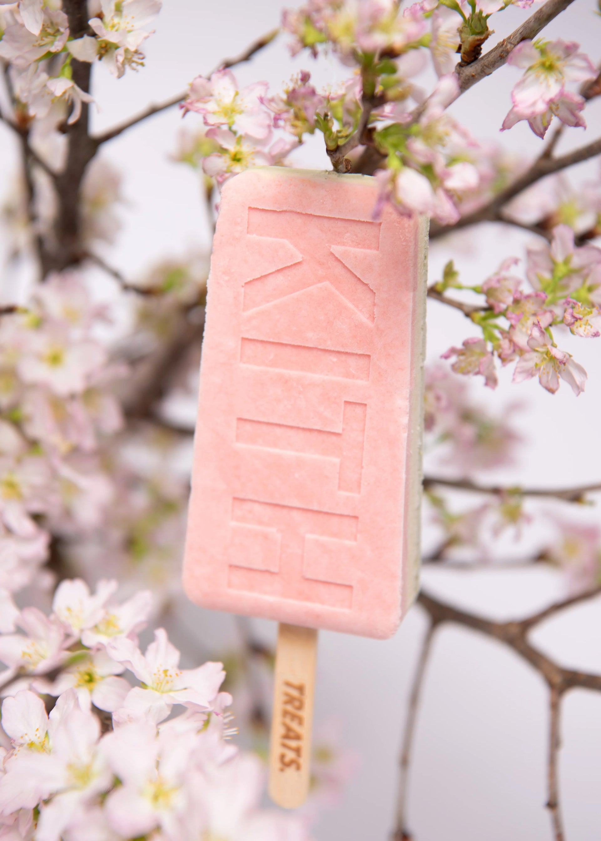 Kith Treats Tokyo Hinamatsuri