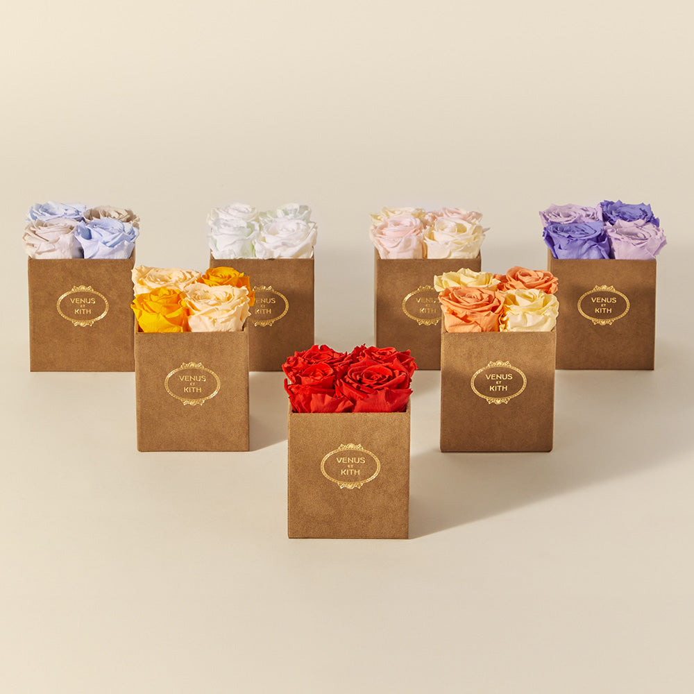 Kith for Venus et Fleur 2024 Monday Program™